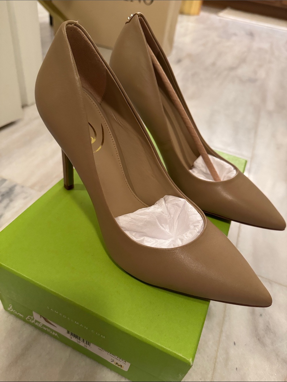 Sam Edelman Hazel Pointed Toe Pump in Beige